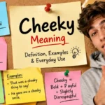 Cheeky Meaning