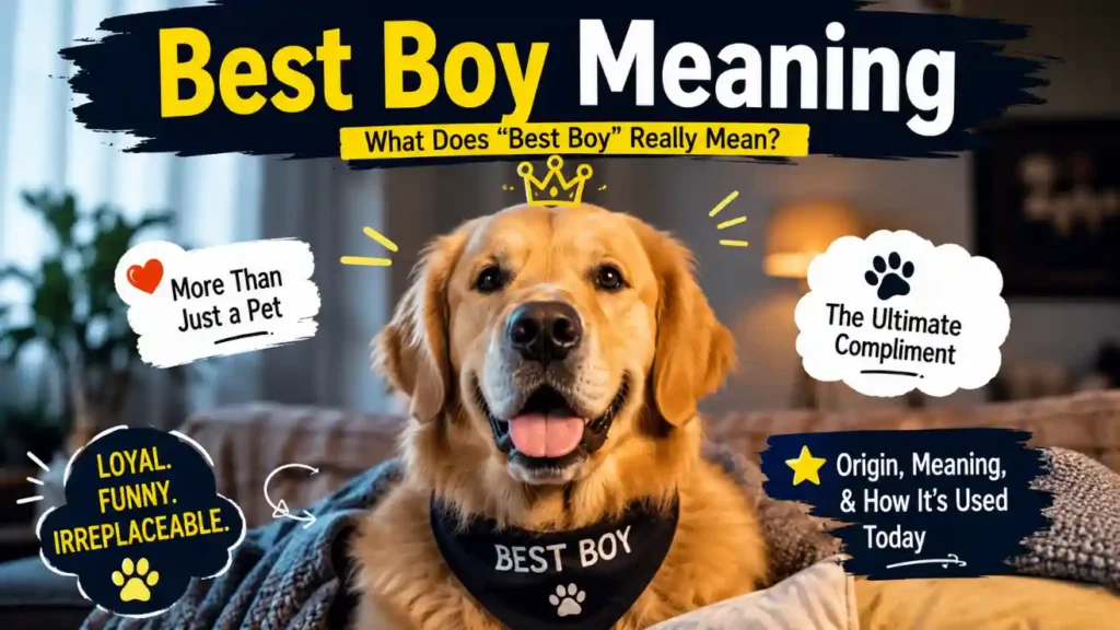 What Is a Best Boy