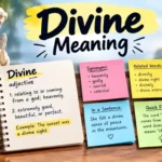 Divine Meaning