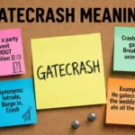 Gatecrash Meaning