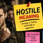 Hostile Meaning