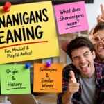 Shenanigans Meaning