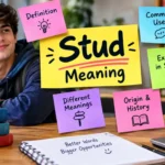 Stud Meaning