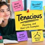 Tenacious Meaning