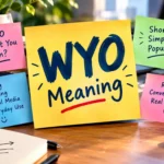 WYO Meaning