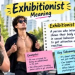 Exhibitionist Meaning