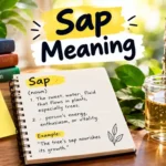 Sap Meaning